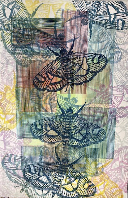 Eclipse of Moths